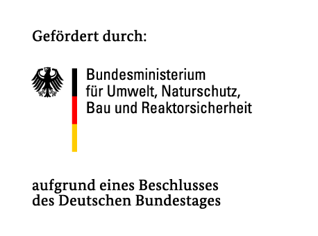 BMUB-Logo deutsch bmp Office Farbe